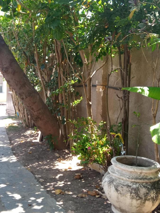 Pousada Marazul Maceió Екстериор снимка